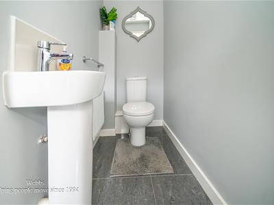 Picture 15